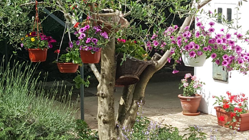באניולה Holiday House Altea חדר תמונה