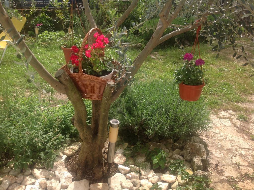 באניולה Holiday House Altea חדר תמונה