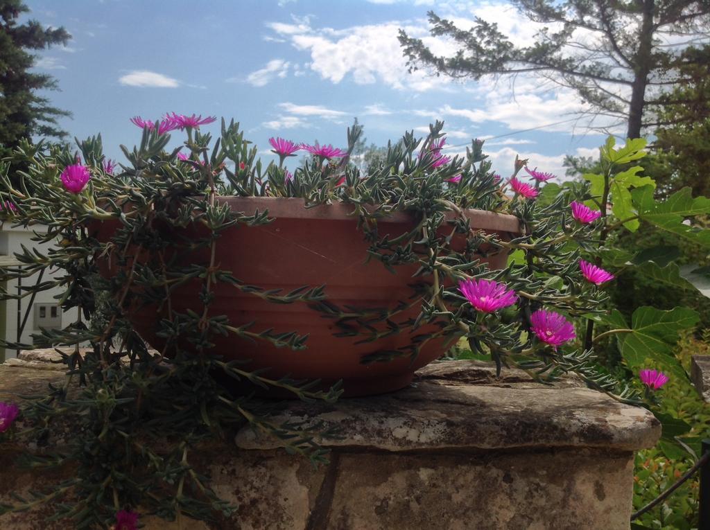 באניולה Holiday House Altea חדר תמונה