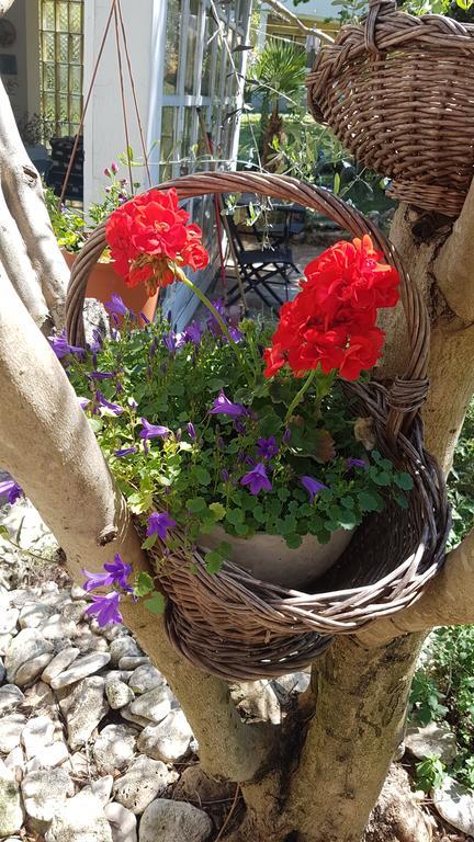 באניולה Holiday House Altea מראה חיצוני תמונה