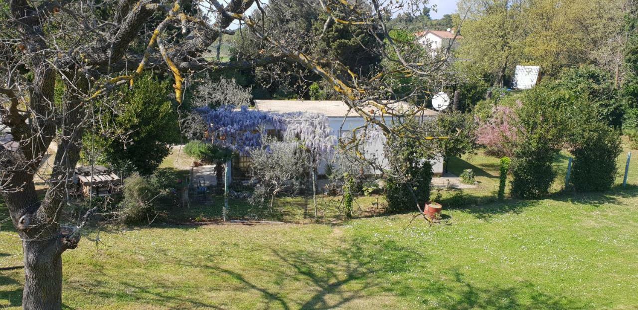 באניולה Holiday House Altea מראה חיצוני תמונה